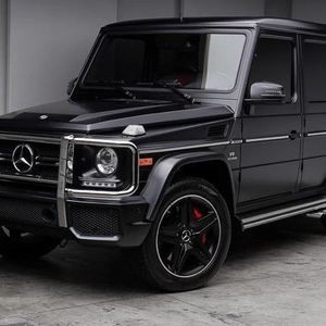 Meet your Posher, Elsa